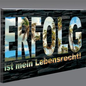 056 ErfolgLebensrecht